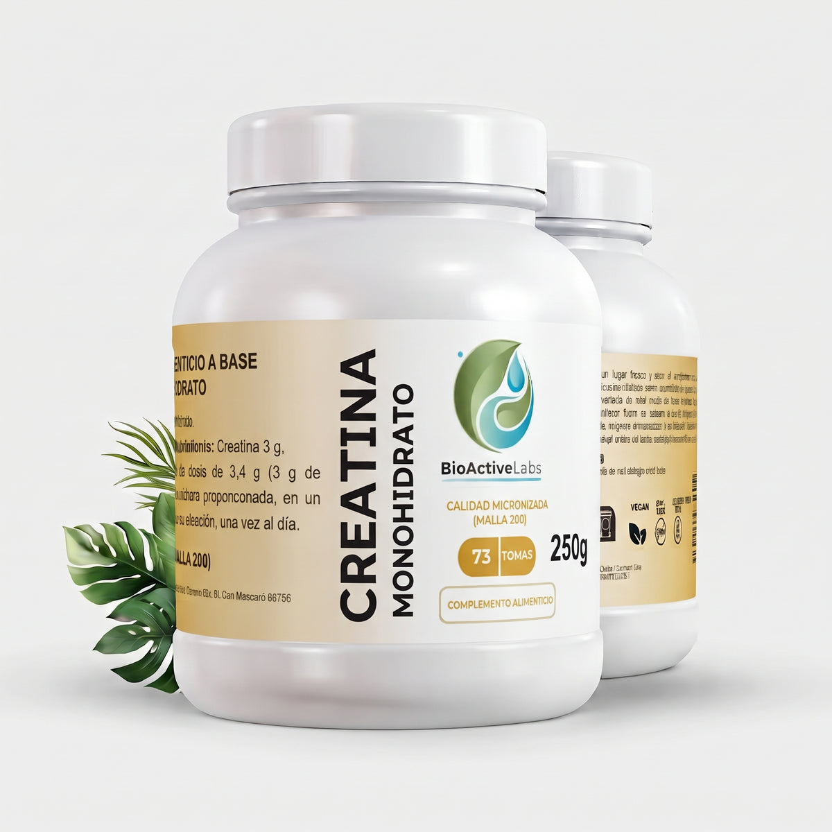 Creatina Monohidrato Micronizada 250 g